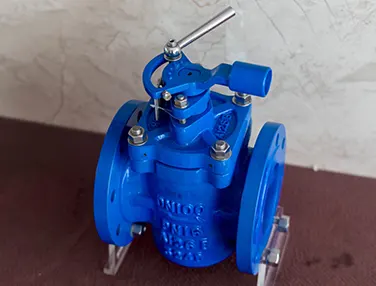 Elastic Seat Eccentric Plug Valve Case 1