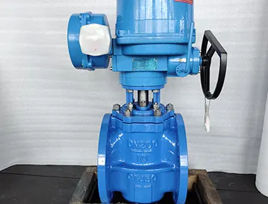 Elastic Seat Eccentric Plug Valve Case 2