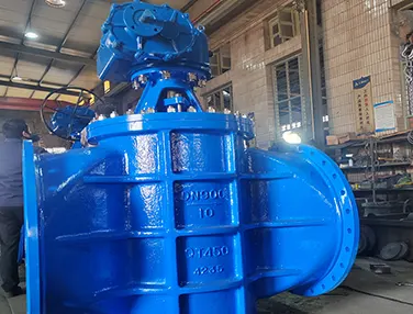 Elastic Seat Eccentric Plug Valve Case 4
