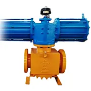 Special Plug Valve
