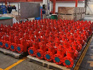 API 6A Flat Gate Valve Case 2