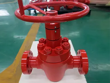 API 6A Flat Gate Valve Case 4
