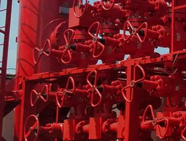 API 6A Check Valve Case 1