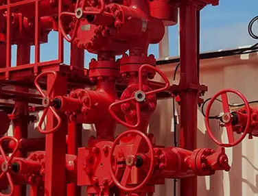 API 6A Check Valve Case 2