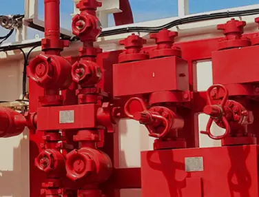 API 6A Check Valve Case 3