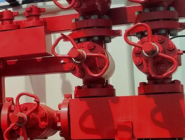 API 6A Check Valve Case 4