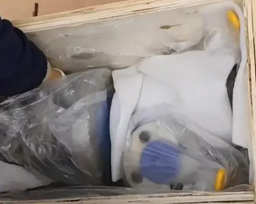Customers Plug Valve Unboxing Video